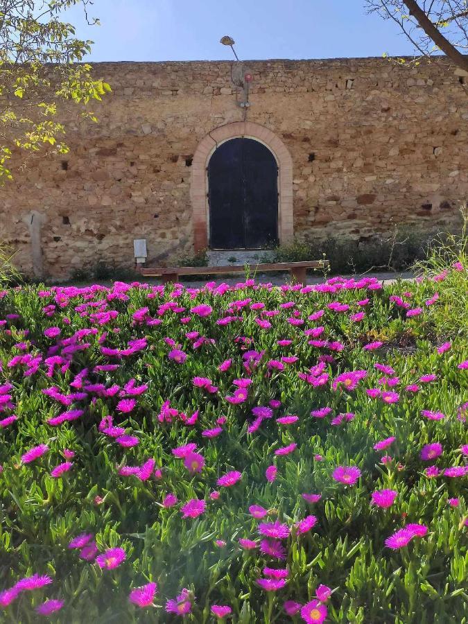 וייאמרטין Finca Las Rosas De Santa Ana מראה חיצוני תמונה