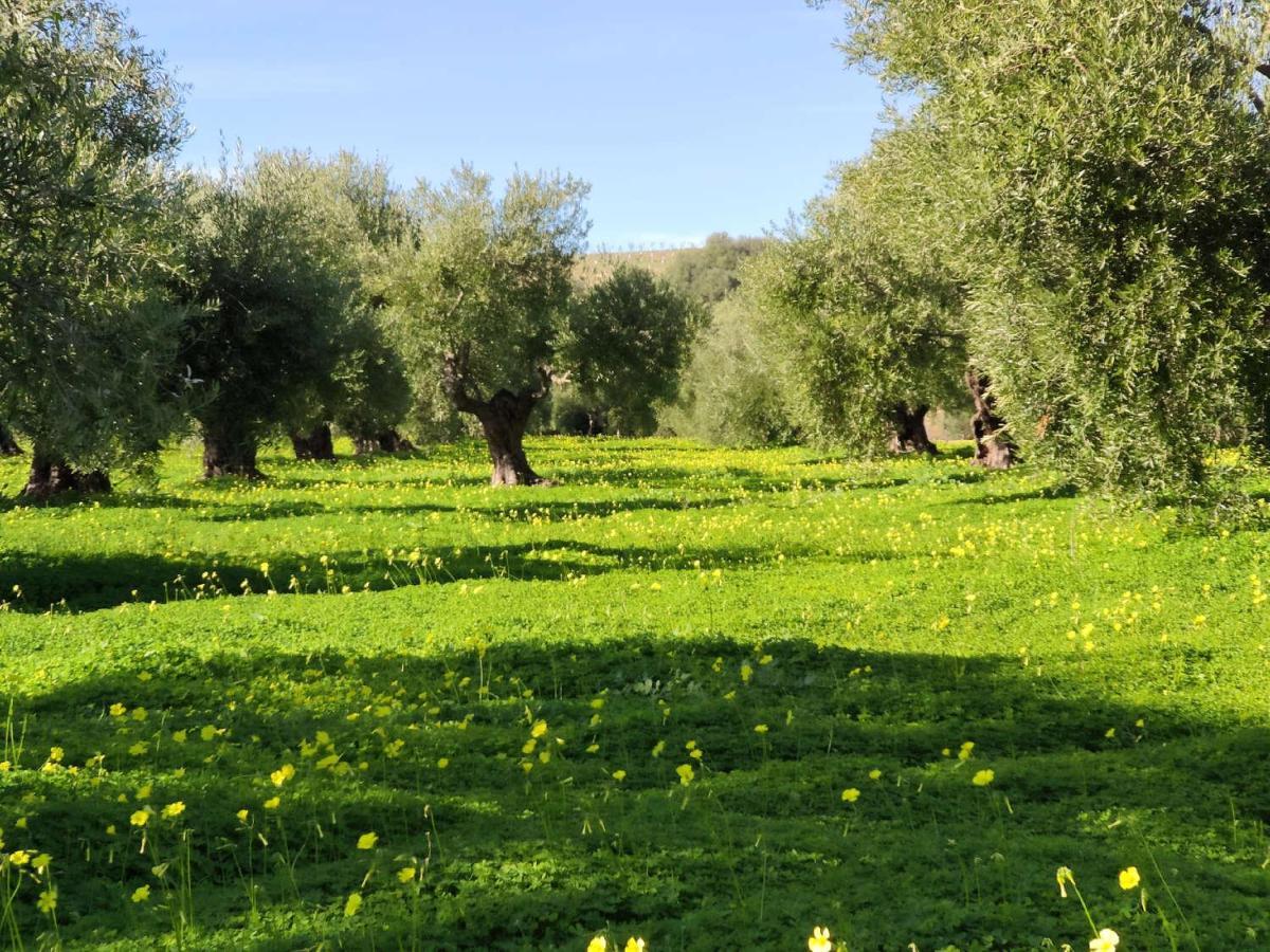 וייאמרטין Finca Las Rosas De Santa Ana מראה חיצוני תמונה