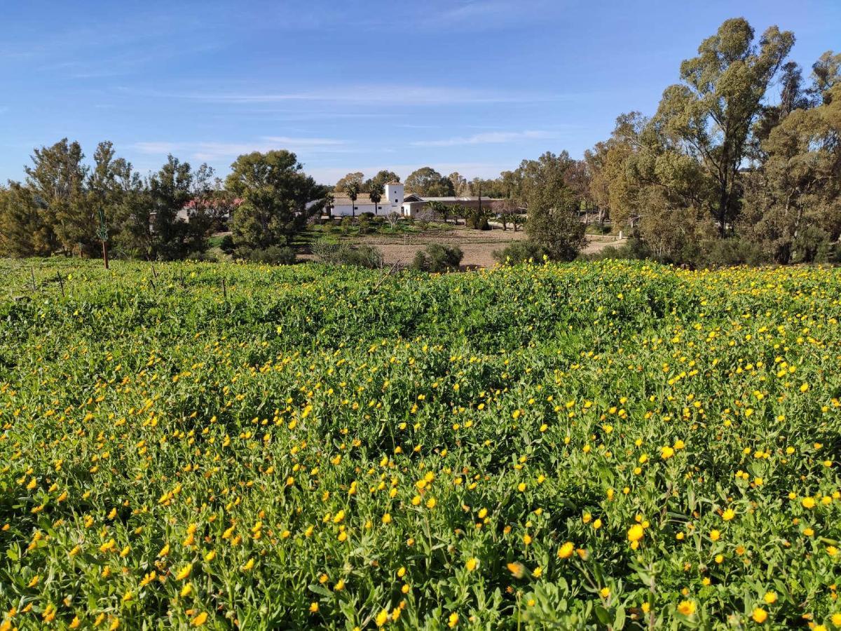 וייאמרטין Finca Las Rosas De Santa Ana מראה חיצוני תמונה